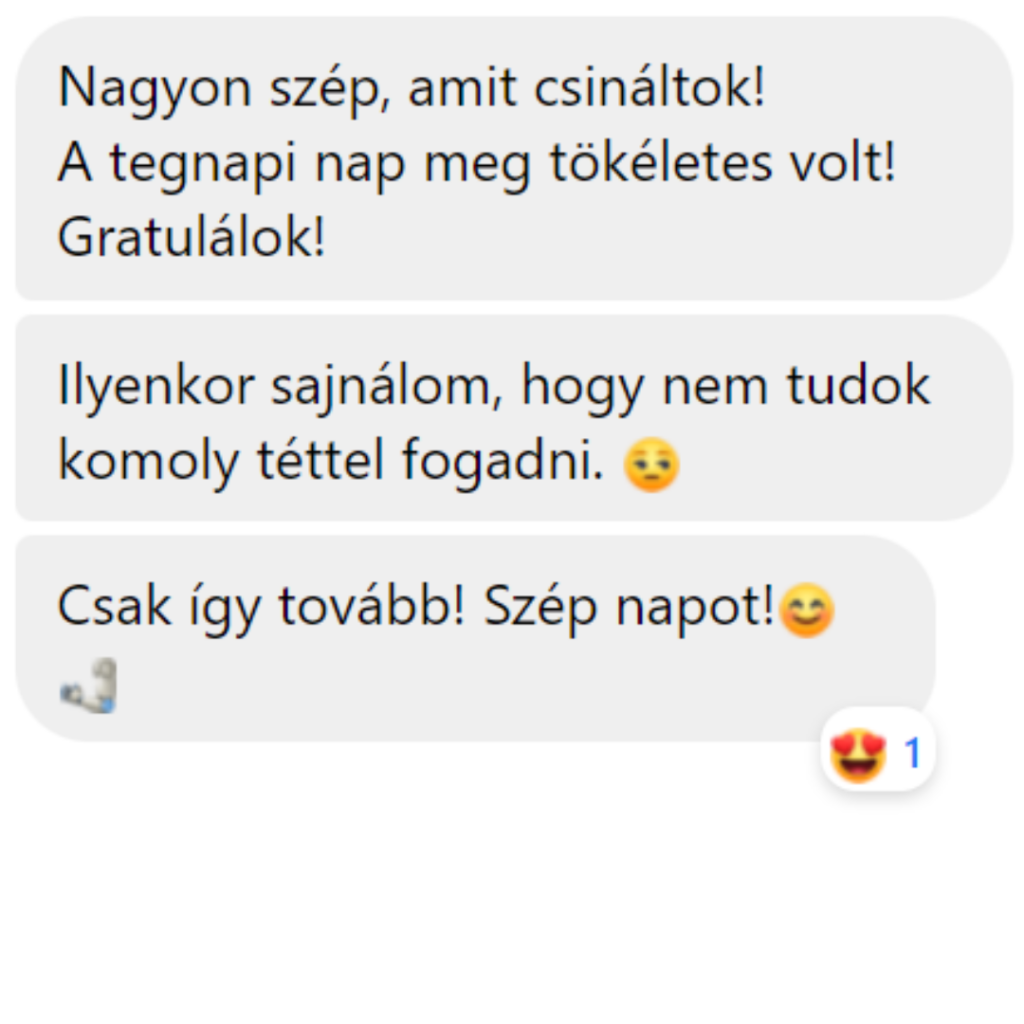review (12)