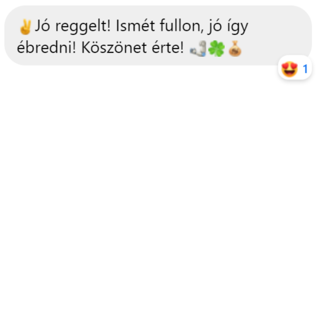 review (3)