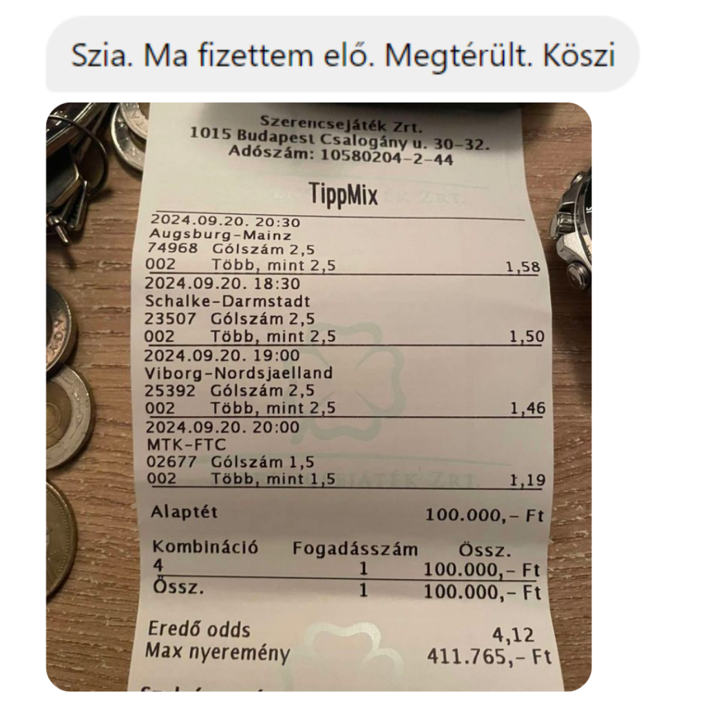 review (13)